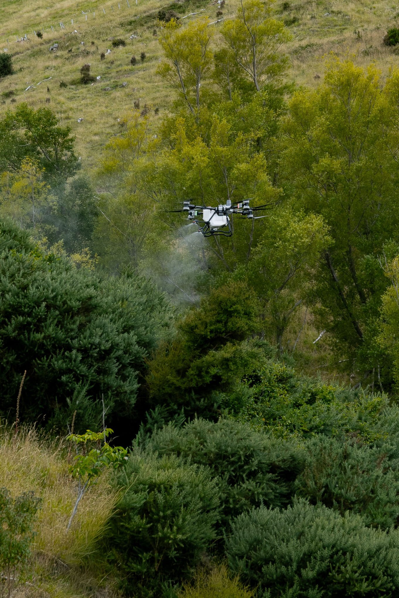Akaroa Jonh Gorse Spraying